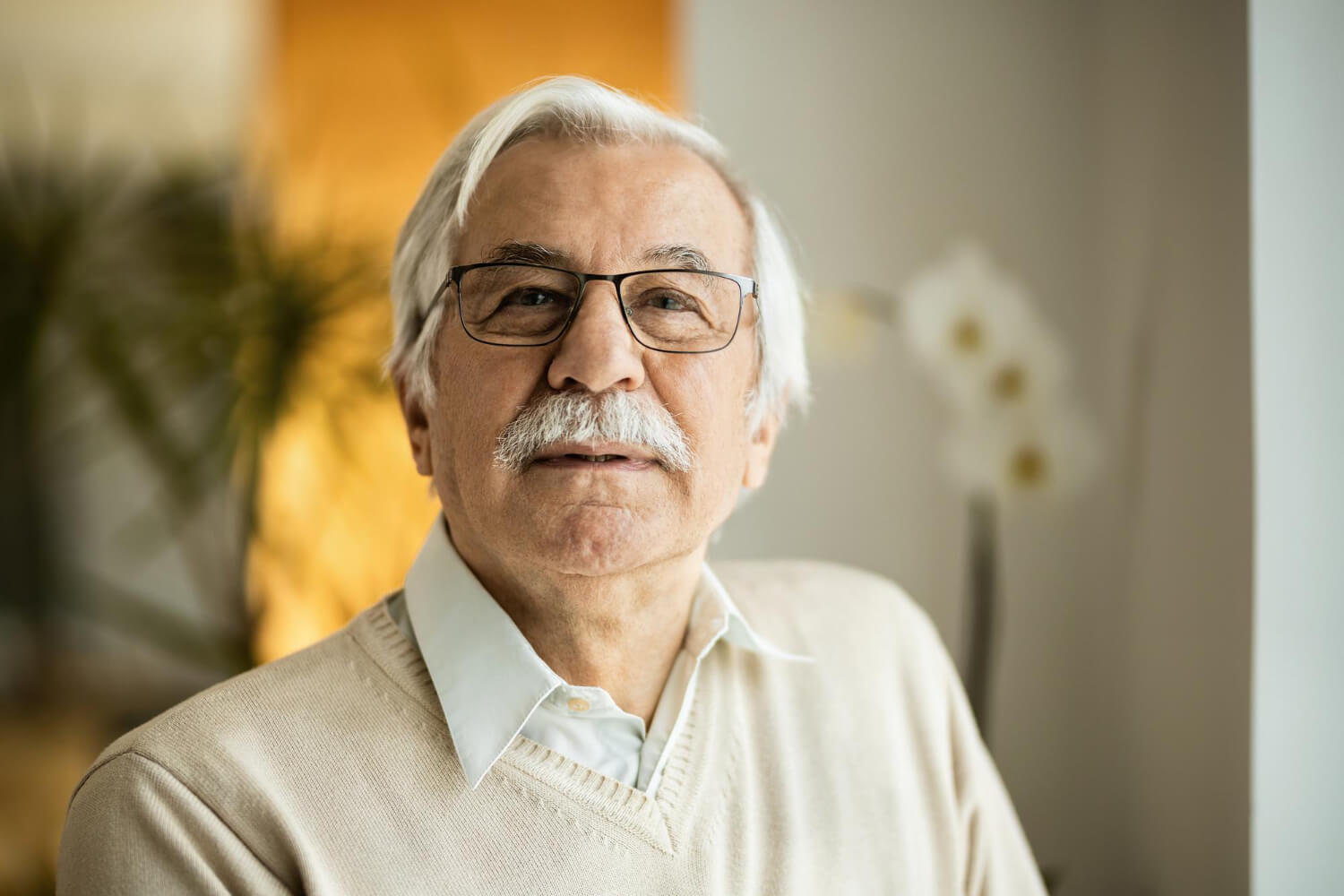 O que o pensionista precisa saber antes de pegar empréstimo